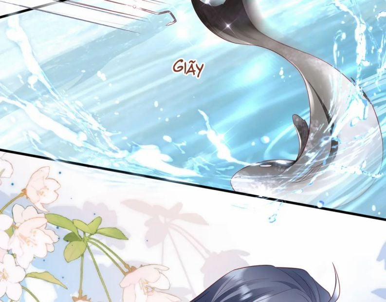 Cất Giấu 19 trang 95