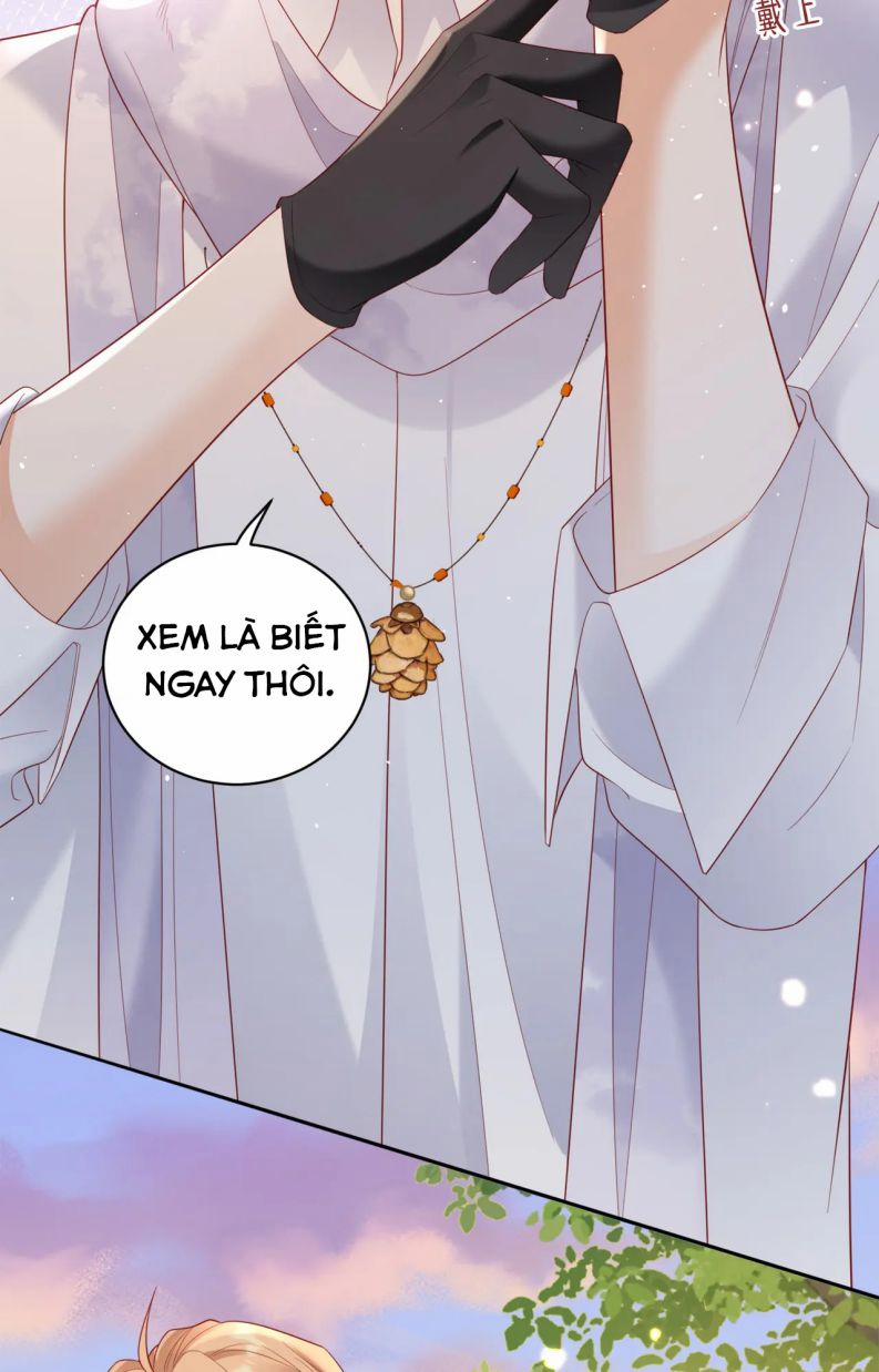 Cất Giấu 20 trang 13