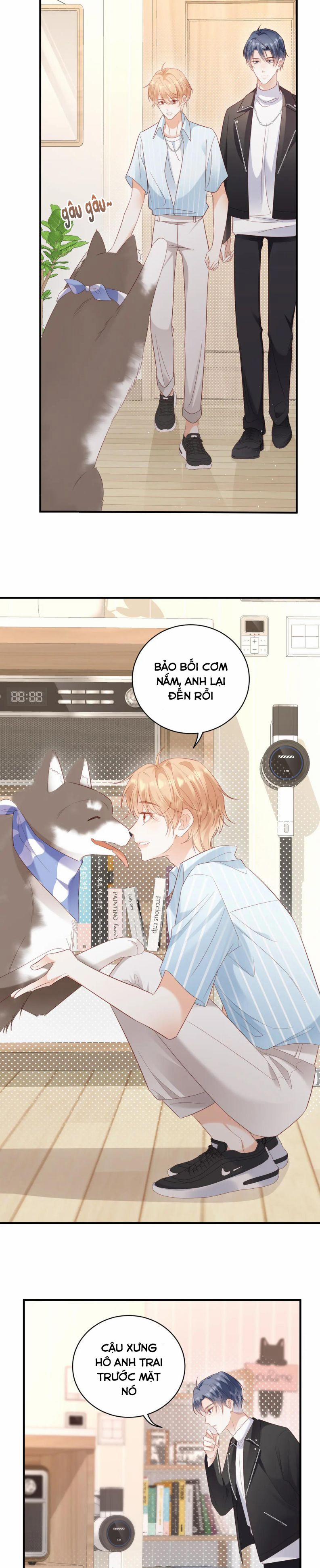 Cất Giấu 24 trang 13