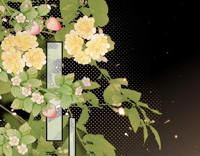 Cất Giấu 25 trang 35