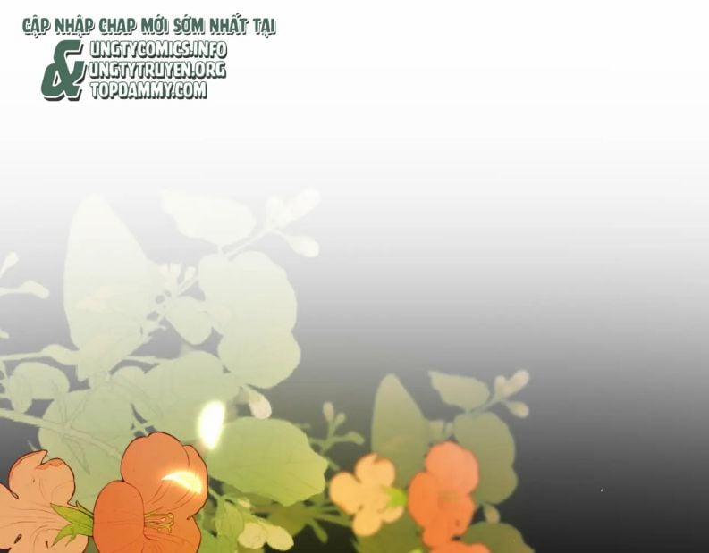 Cất Giấu 25 trang 4