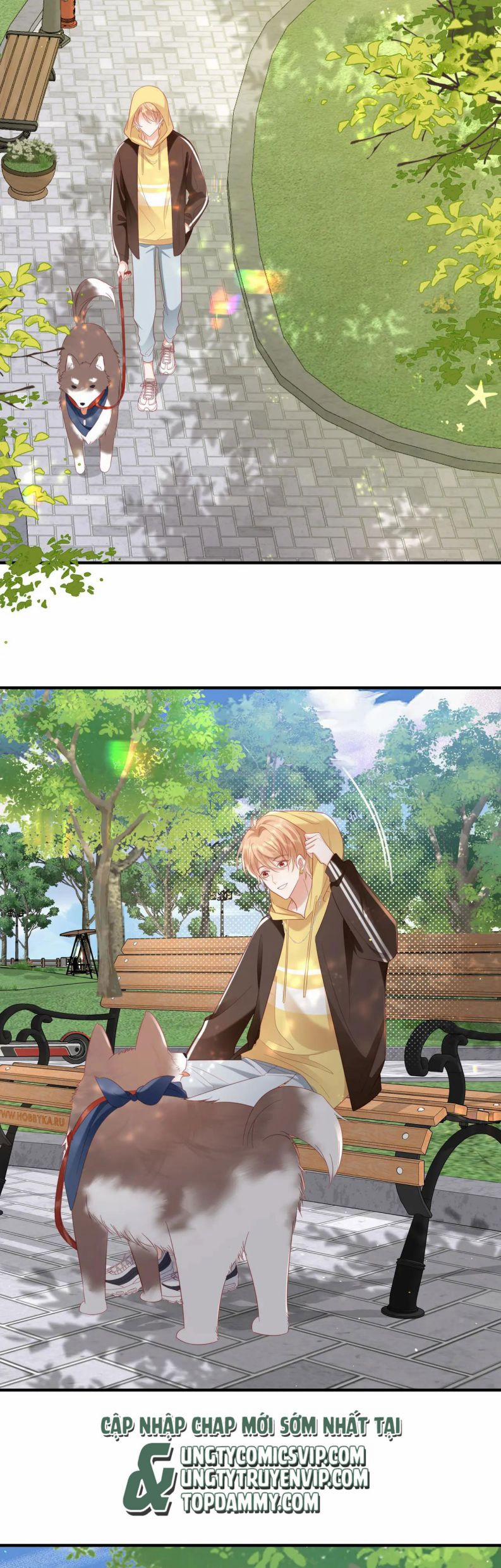 Cất Giấu 27 trang 12