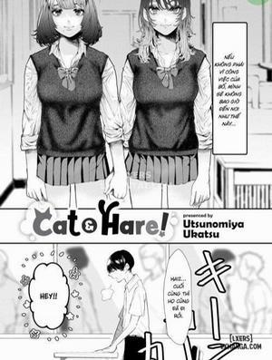 Đọc truyện tranh Cat Hare!
