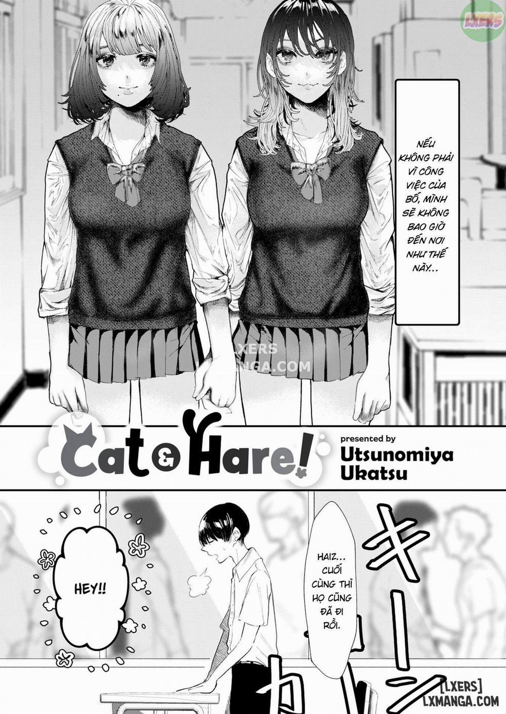 Cat Hare! Oneshot trang 4