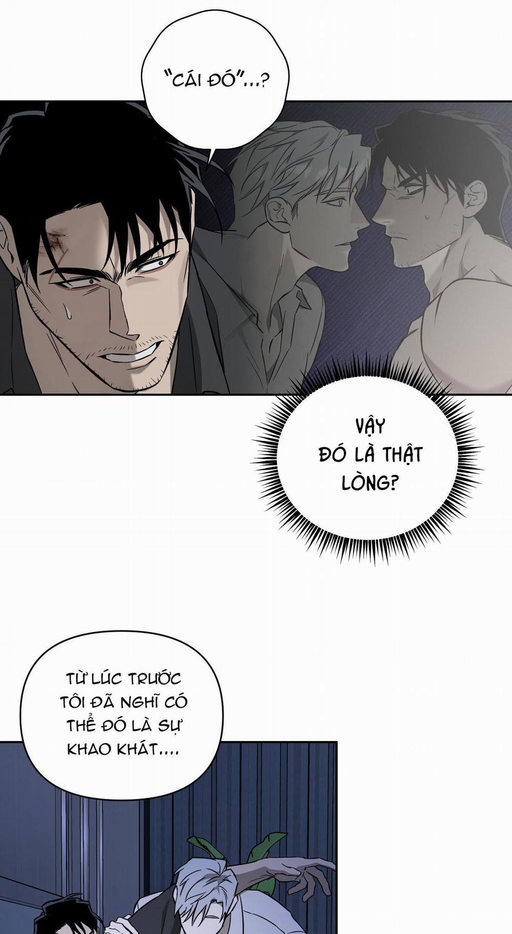 CÁT LÚN 5 trang 29