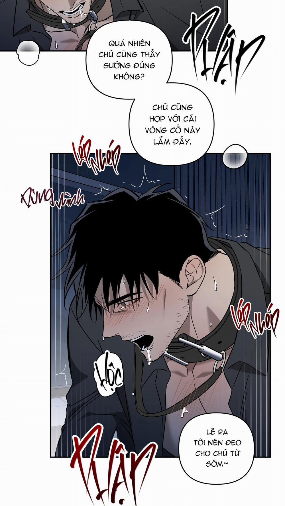 CÁT LÚN 6 END trang 24