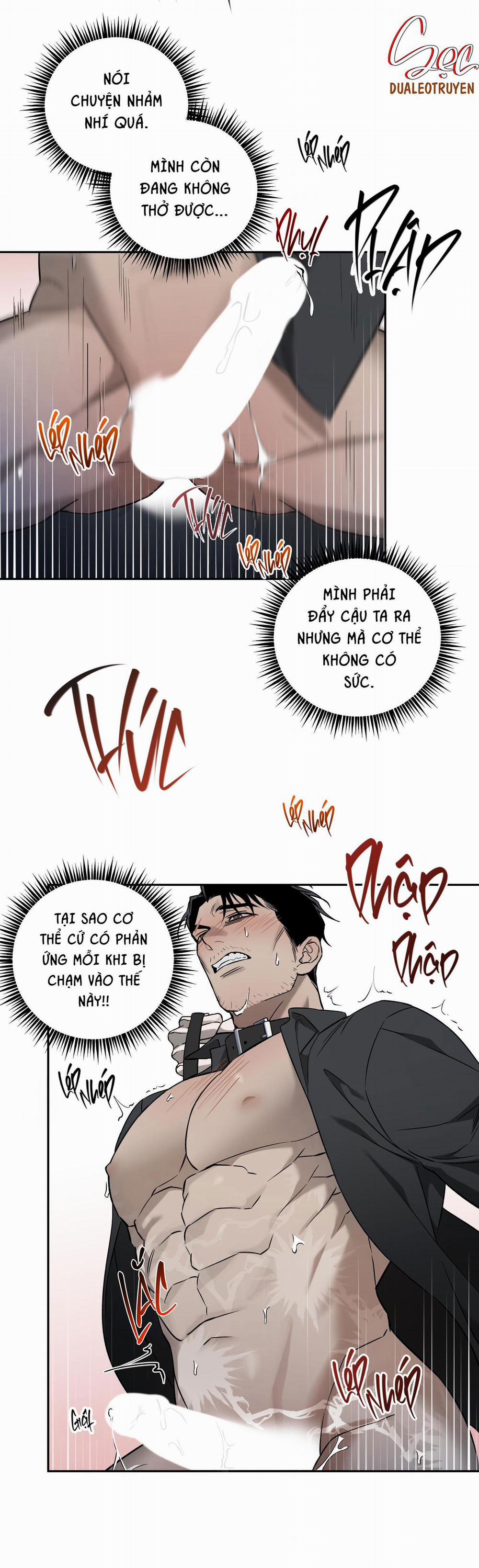 CÁT LÚN 6 trang 25