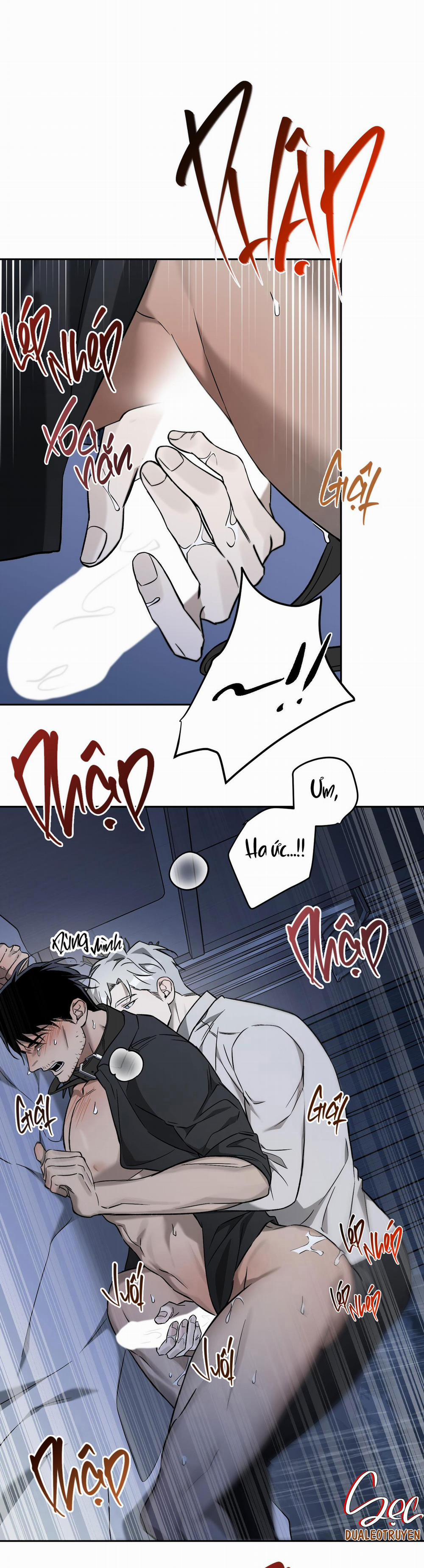 CÁT LÚN 6 trang 26