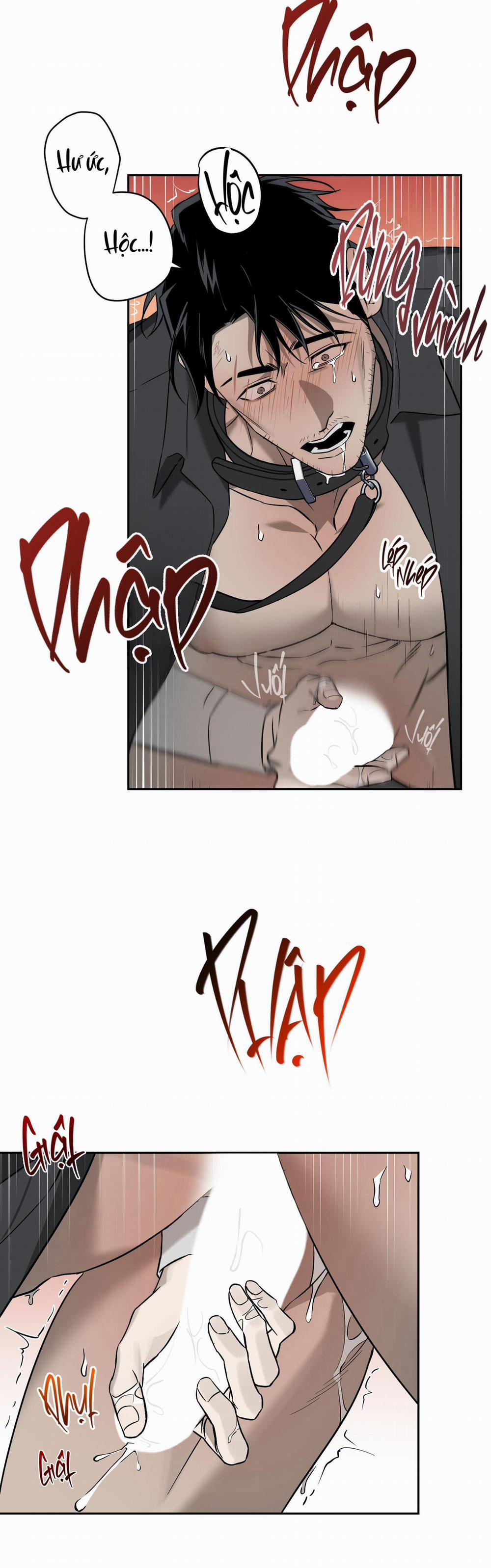 CÁT LÚN 6 trang 27