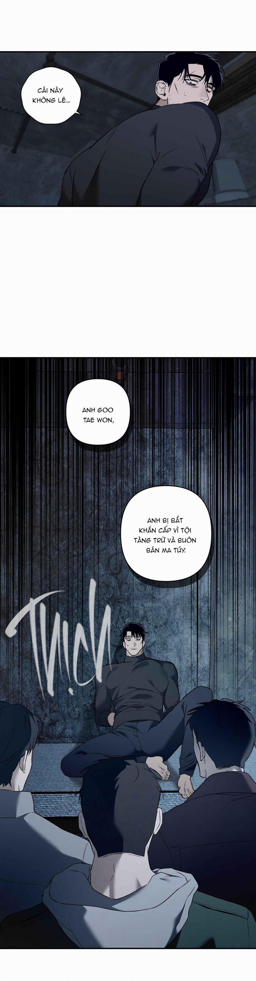 CÁT LÚN 8 trang 10