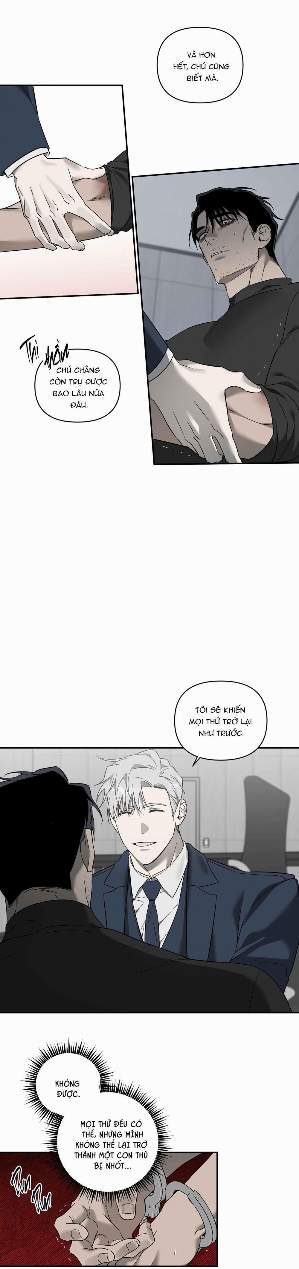 CÁT LÚN 8 trang 23