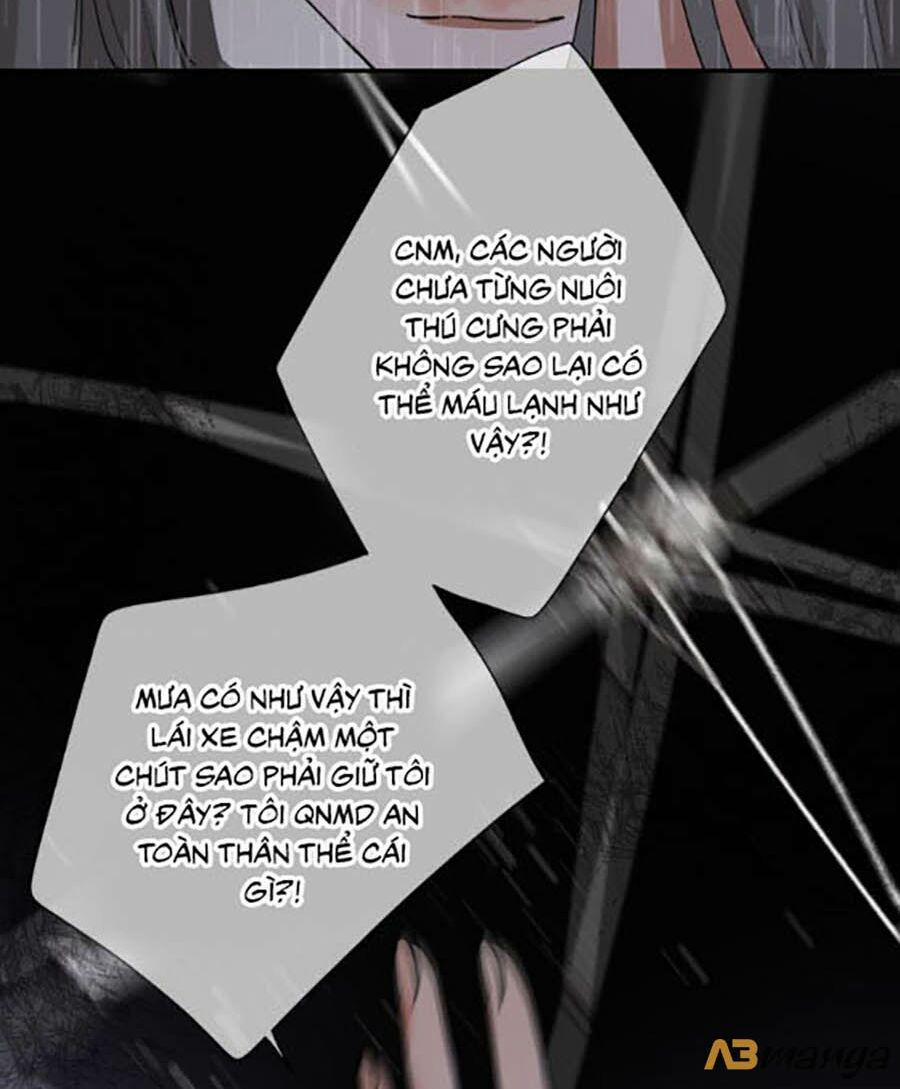 Cát Xê Người Tình Bóng Đêm 13 trang 20