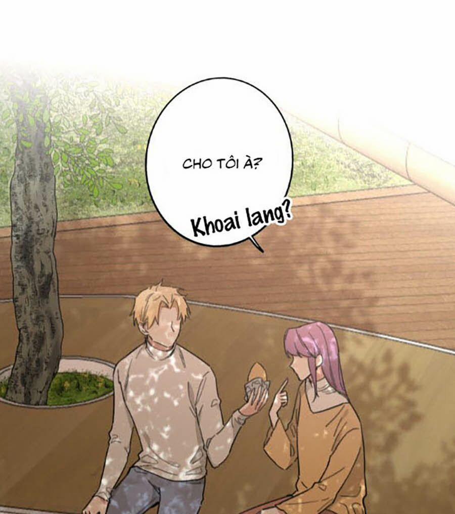 Cát Xê Người Tình Bóng Đêm 13 trang 8