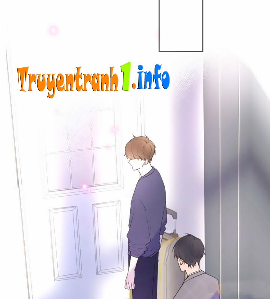 Cát Xê Người Tình Bóng Đêm 2 trang 50