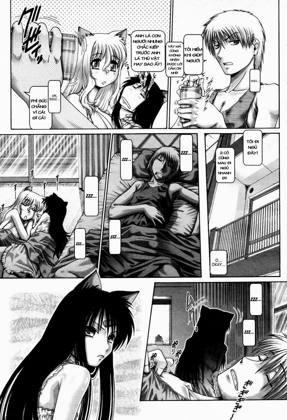 Catnip Panic 7 trang 8