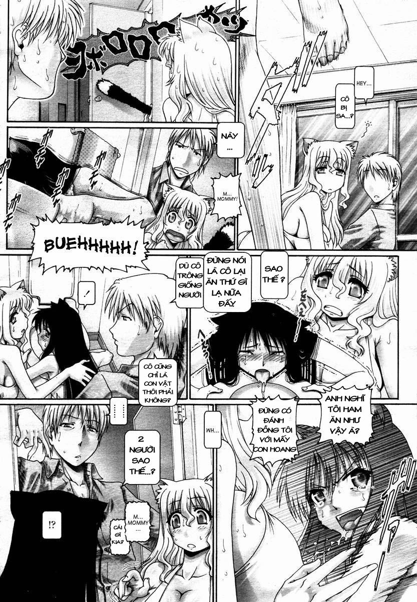 Catnip Panic 9 [END] trang 1