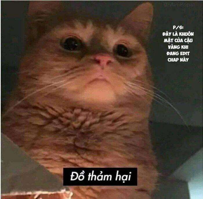 Catulus Syndrome 15 trang 13