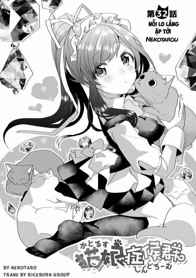 Catulus Syndrome 32 trang 1