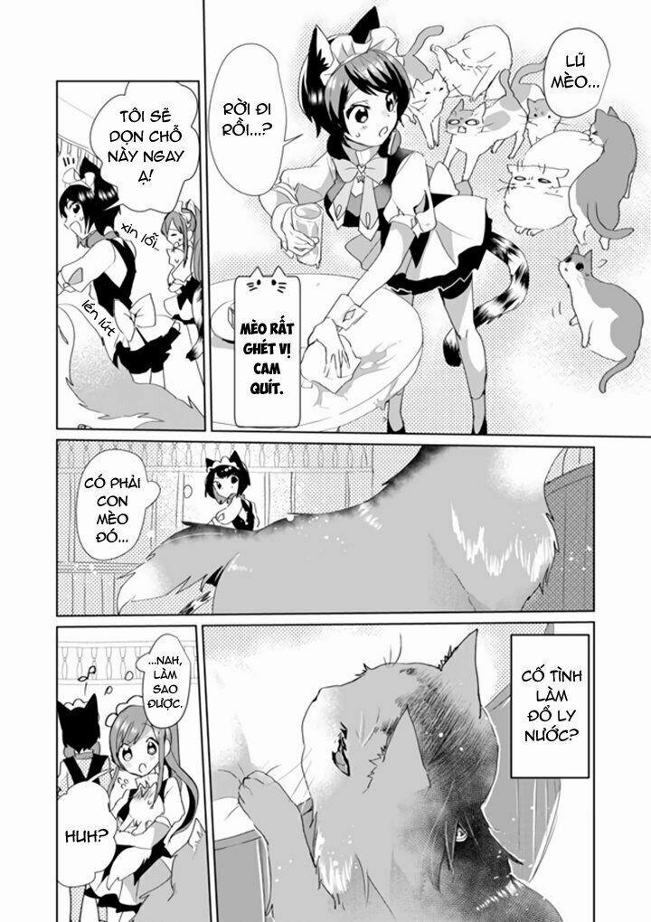 Catulus Syndrome 33 trang 10