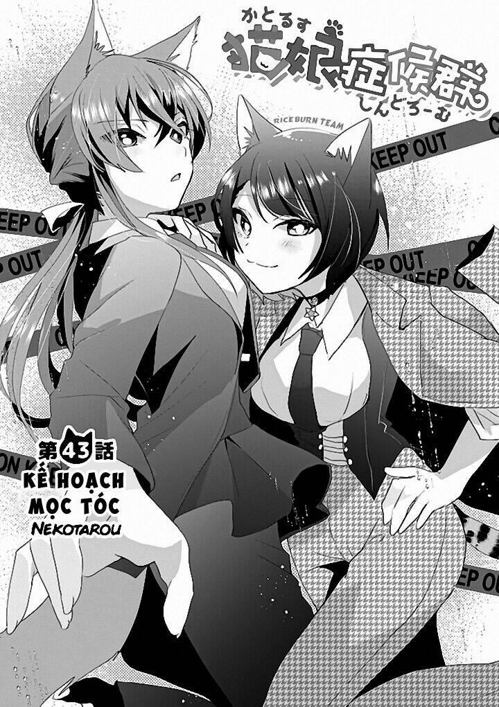 Catulus Syndrome 43 trang 1