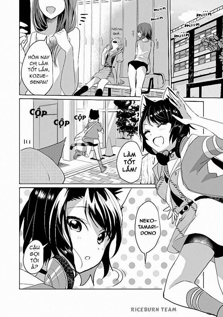 Catulus Syndrome 43 trang 2