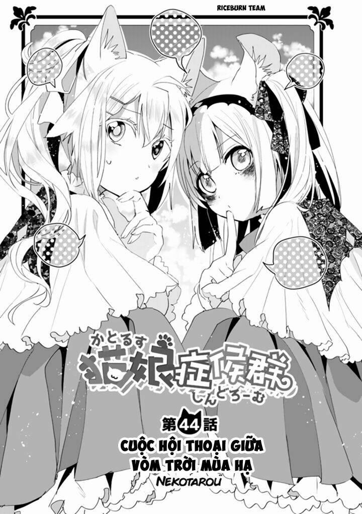 Catulus Syndrome 44 trang 1