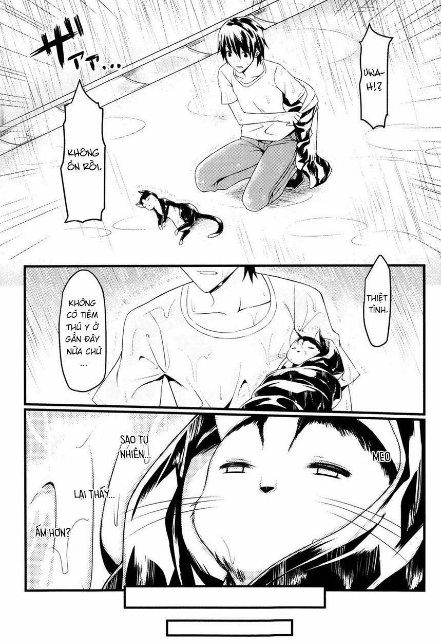 CatWooOman Oneshot trang 2