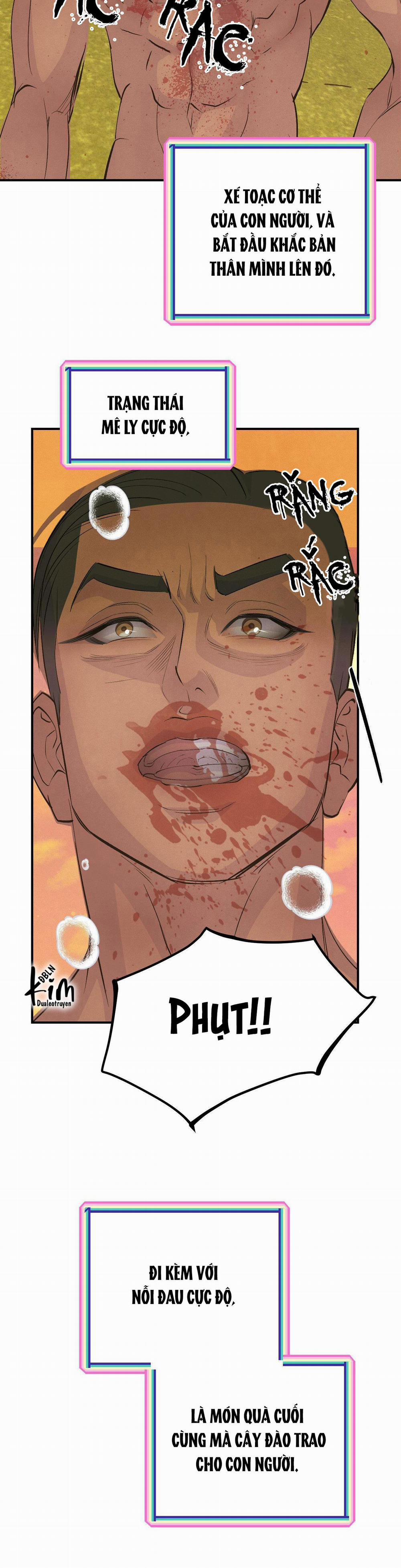 Cậu Bé Đào 13 trang 17