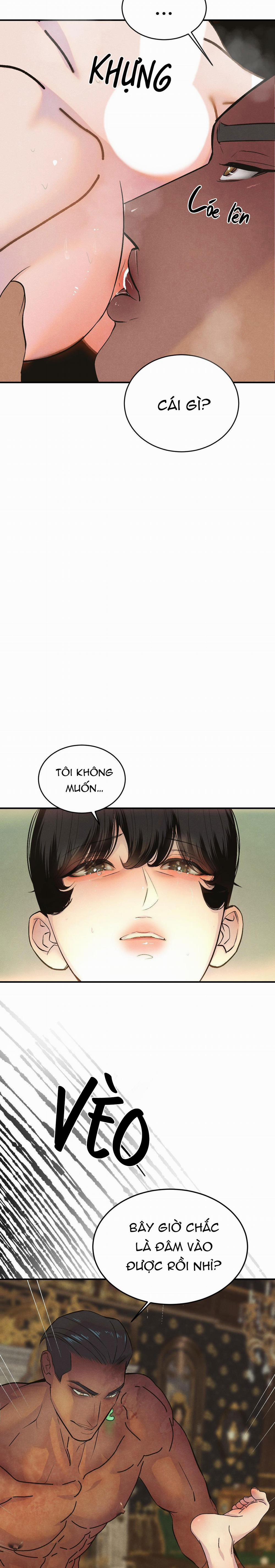 Cậu Bé Đào 5 trang 28