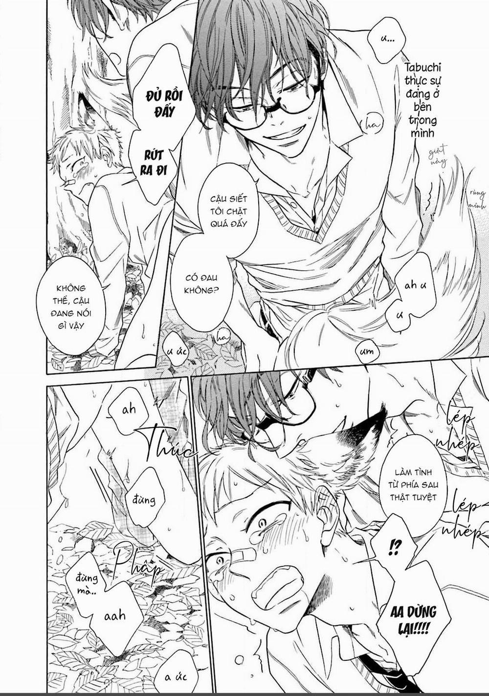 Cậu Cáo À, Đừng Quyến Rũ Tôi Nữa 1 trang 29