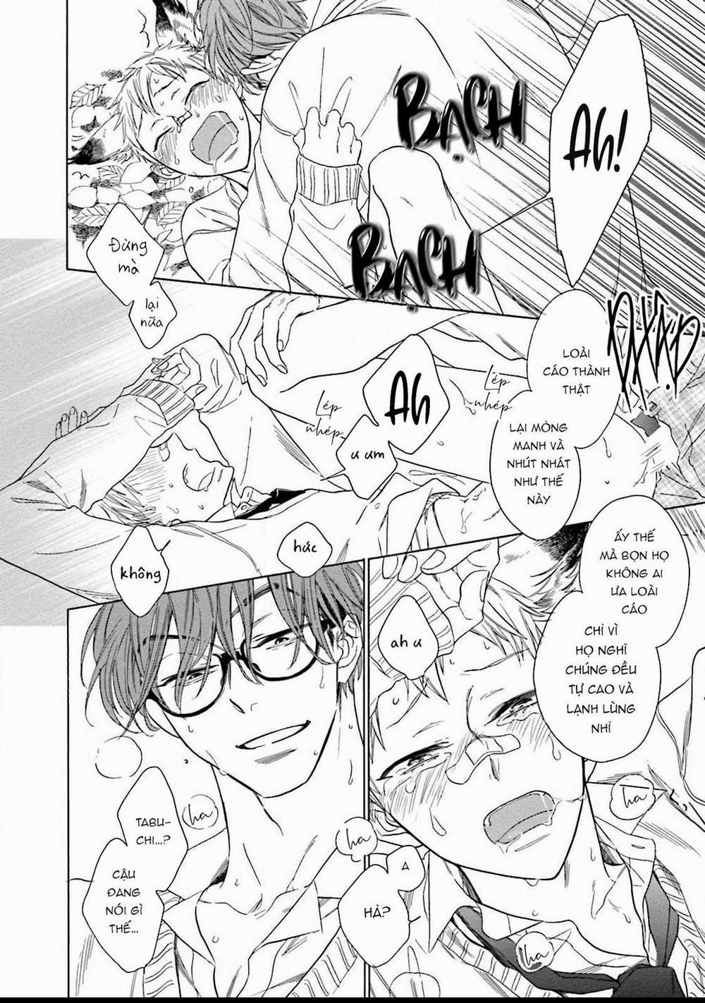 Cậu Cáo À, Đừng Quyến Rũ Tôi Nữa 1 trang 31