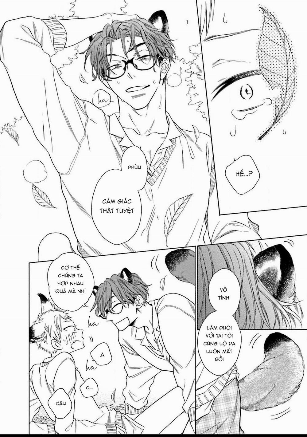 Cậu Cáo À, Đừng Quyến Rũ Tôi Nữa 1 trang 33