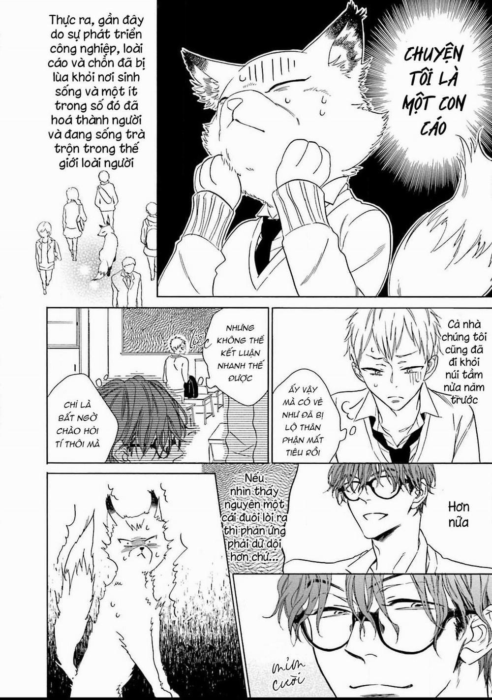 Cậu Cáo À, Đừng Quyến Rũ Tôi Nữa 1 trang 7