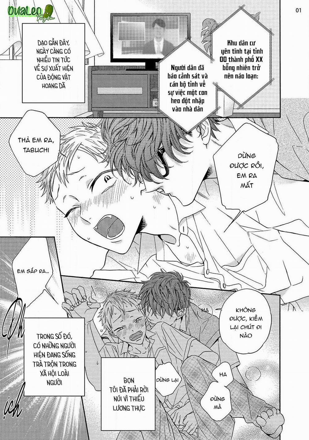 Cậu Cáo À, Đừng Quyến Rũ Tôi Nữa 10 NT1 trang 2