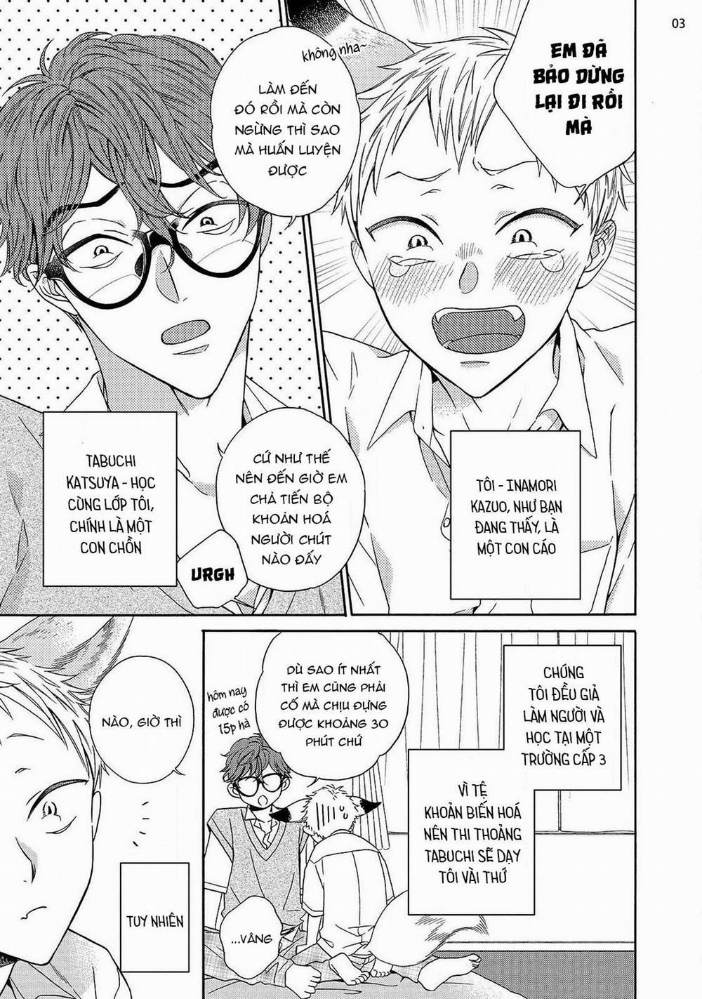 Cậu Cáo À, Đừng Quyến Rũ Tôi Nữa 10 trang 4