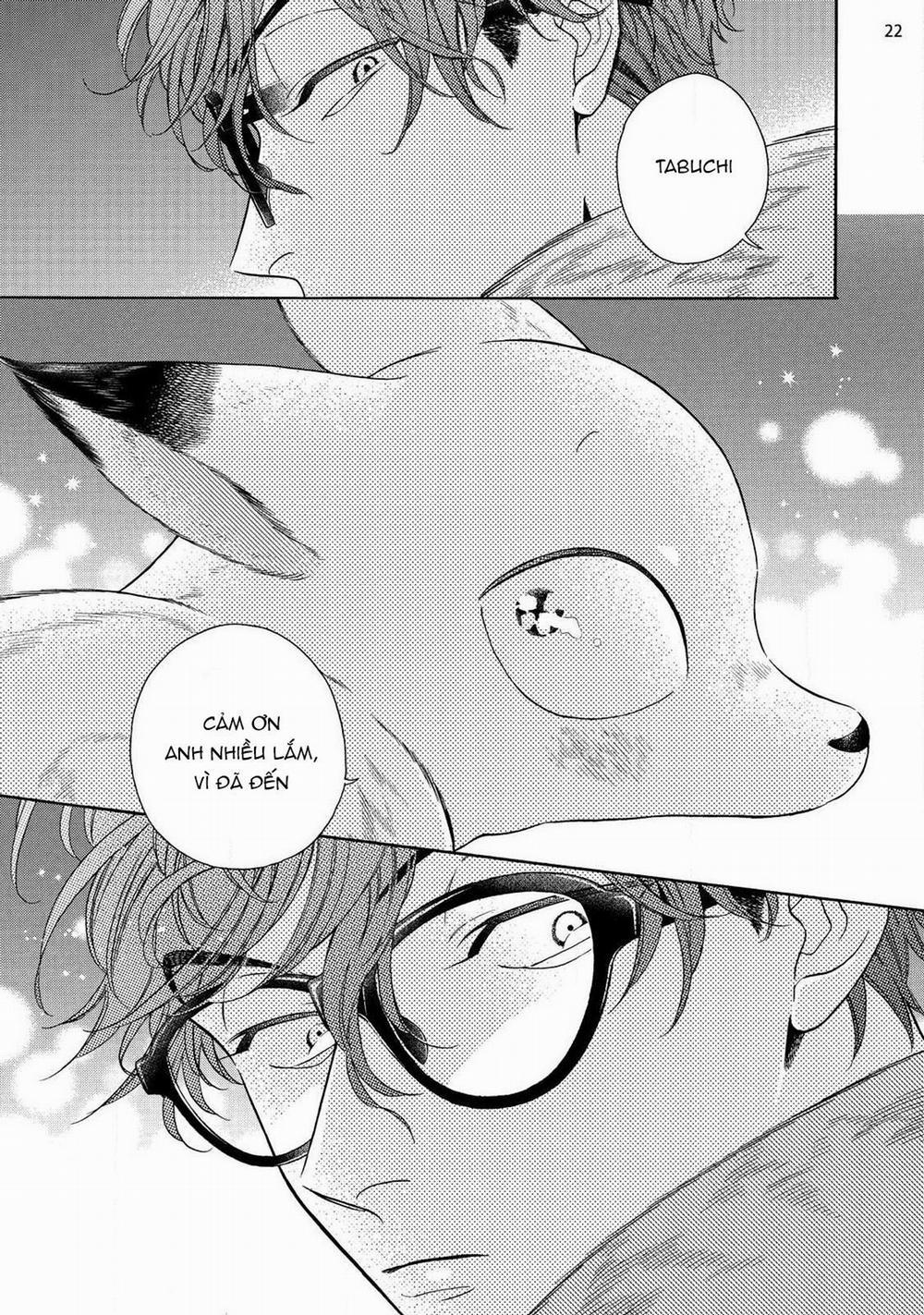 Cậu Cáo À, Đừng Quyến Rũ Tôi Nữa 12 trang 2