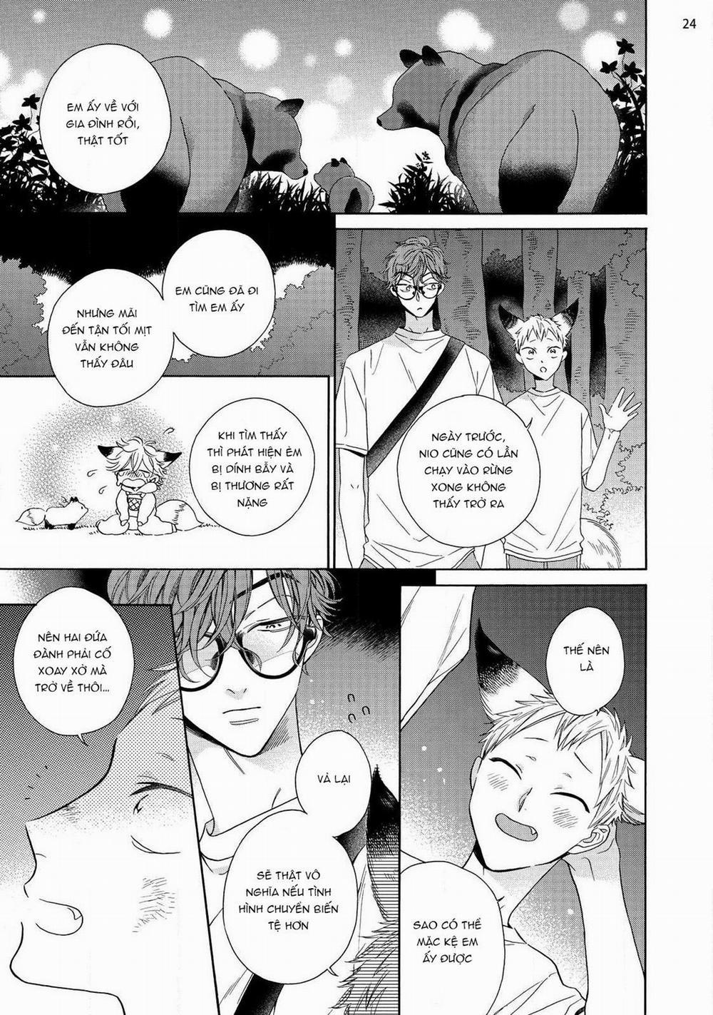 Cậu Cáo À, Đừng Quyến Rũ Tôi Nữa 12 trang 4