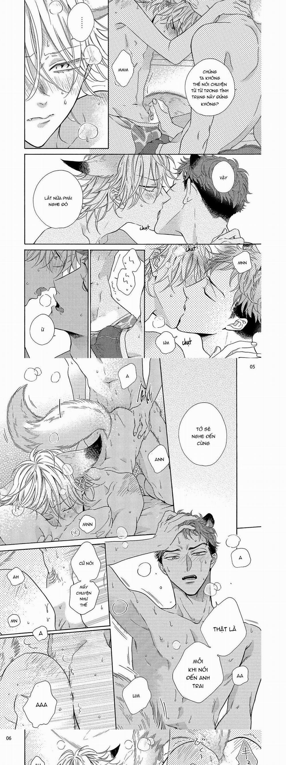 Cậu Cáo À, Đừng Quyến Rũ Tôi Nữa 13 trang 2