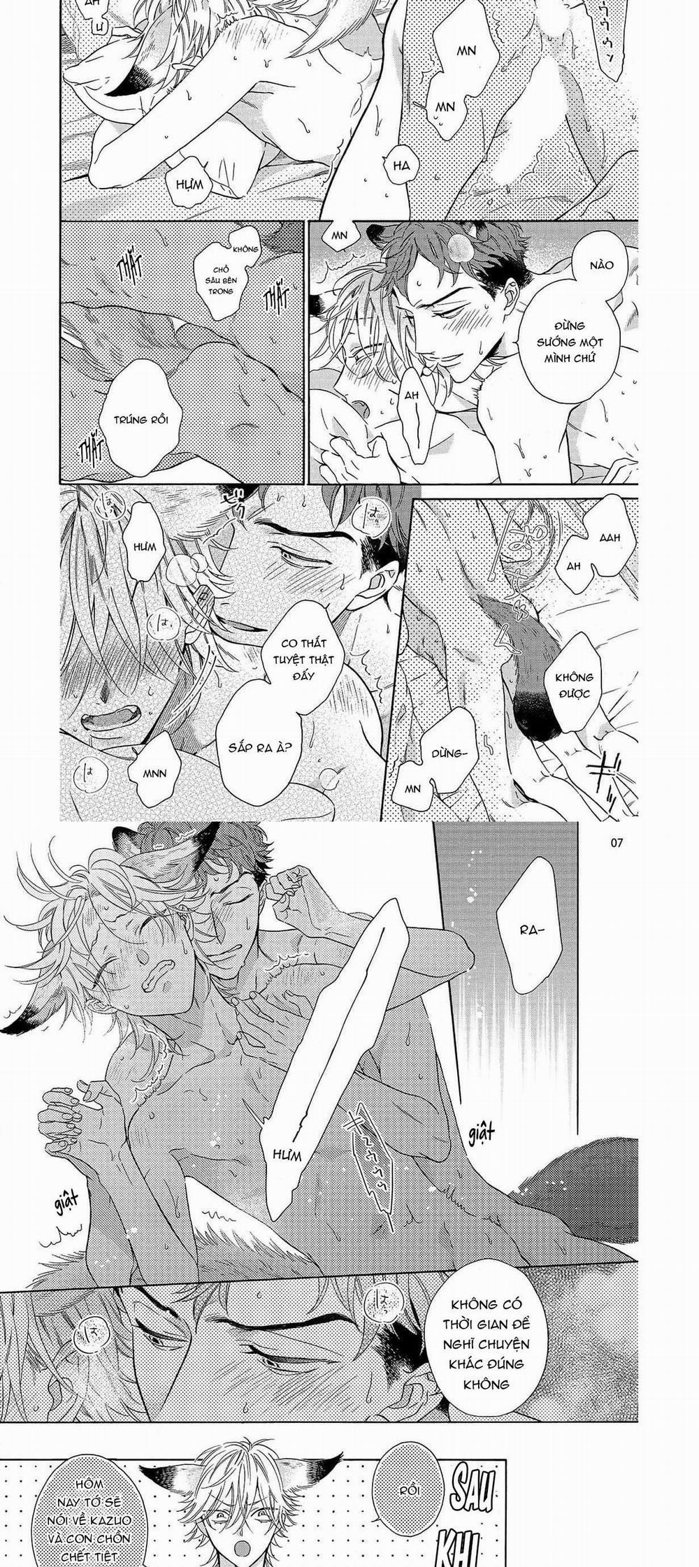 Cậu Cáo À, Đừng Quyến Rũ Tôi Nữa 13 trang 3