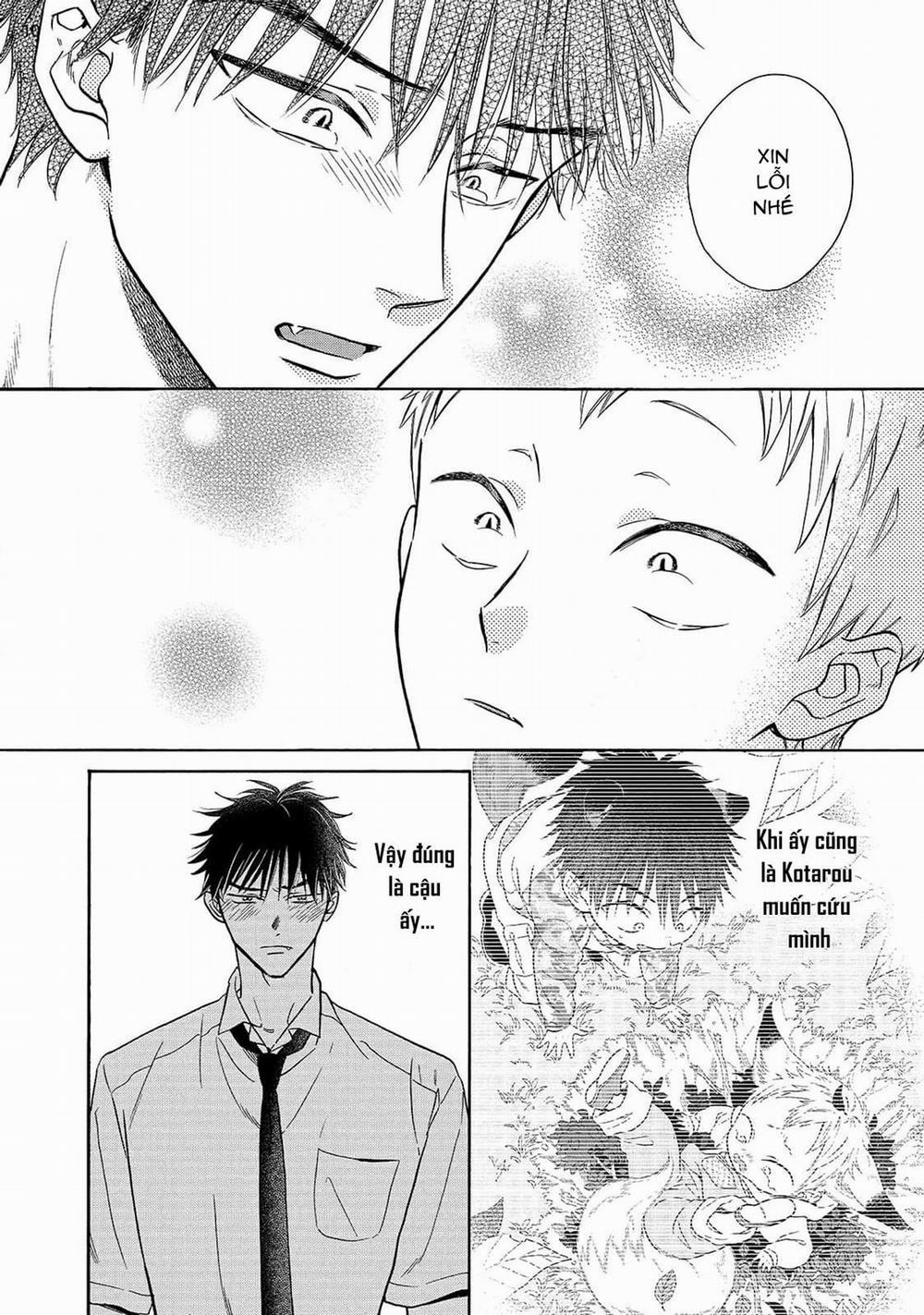 Cậu Cáo À, Đừng Quyến Rũ Tôi Nữa 16 hon trang 11