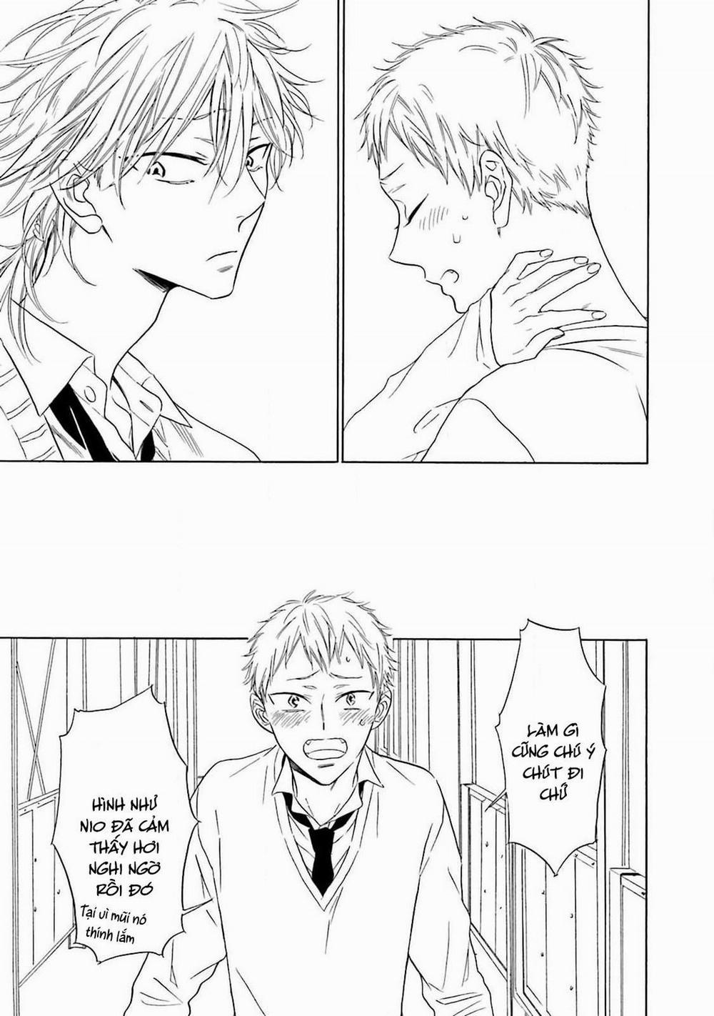 Cậu Cáo À, Đừng Quyến Rũ Tôi Nữa 2 trang 11