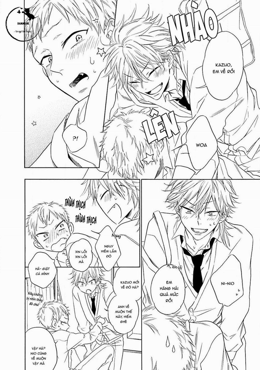 Cậu Cáo À, Đừng Quyến Rũ Tôi Nữa 2 trang 8