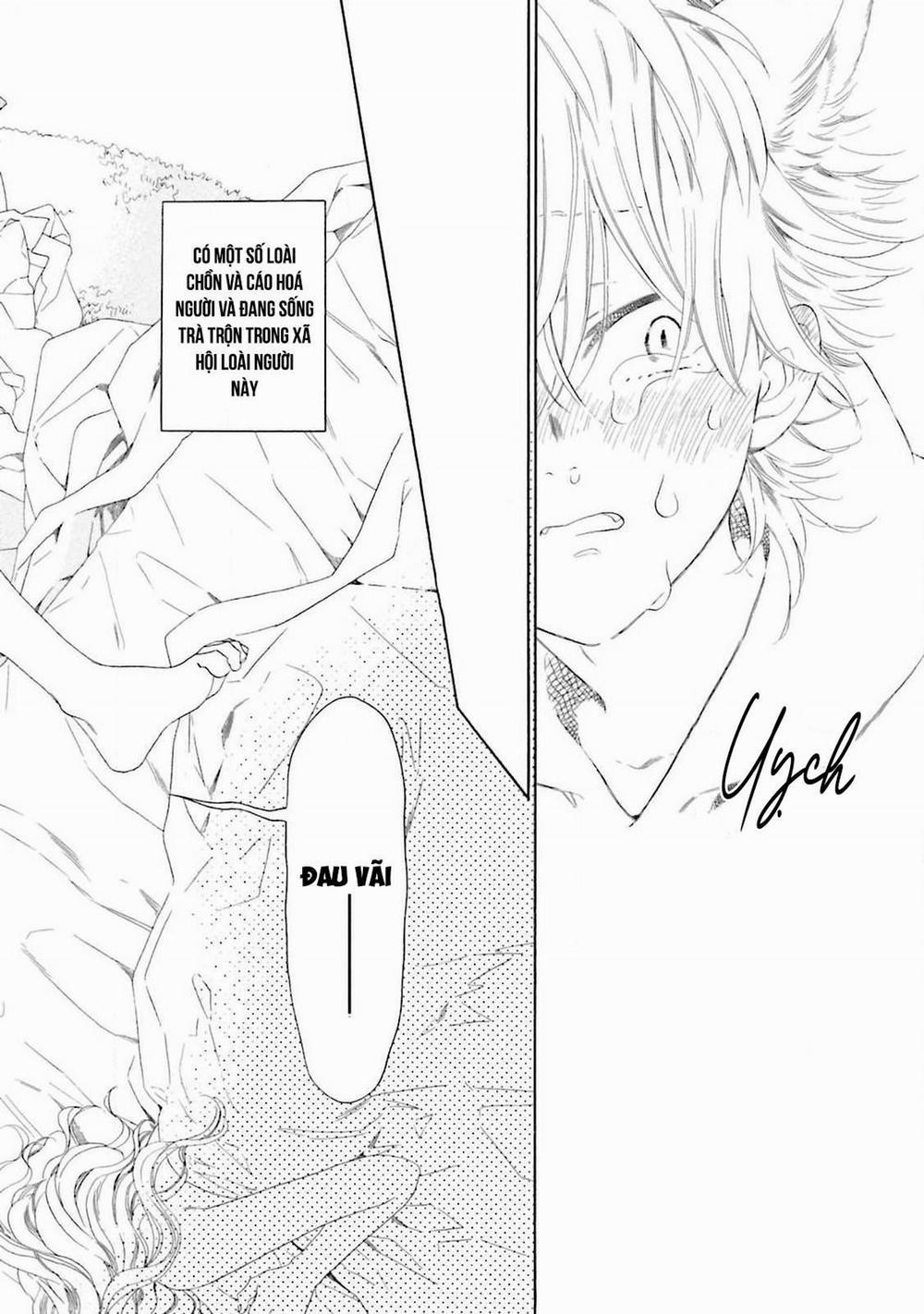 Cậu Cáo À, Đừng Quyến Rũ Tôi Nữa 4 trang 4