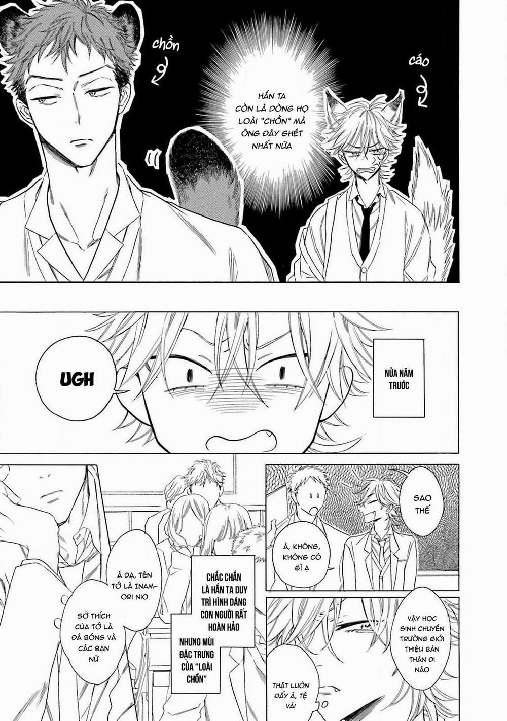 Cậu Cáo À, Đừng Quyến Rũ Tôi Nữa 4 trang 9