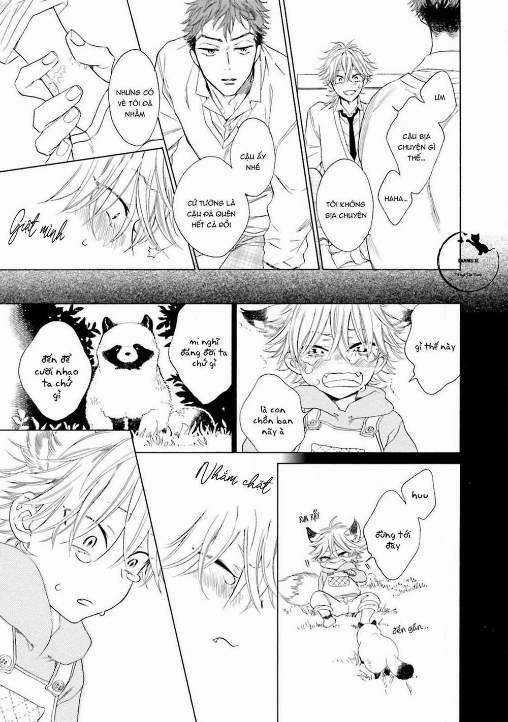 Cậu Cáo À, Đừng Quyến Rũ Tôi Nữa 5 trang 8