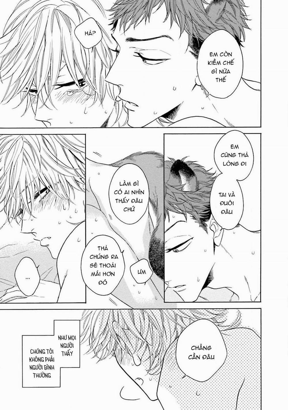 Cậu Cáo À, Đừng Quyến Rũ Tôi Nữa 6 trang 5