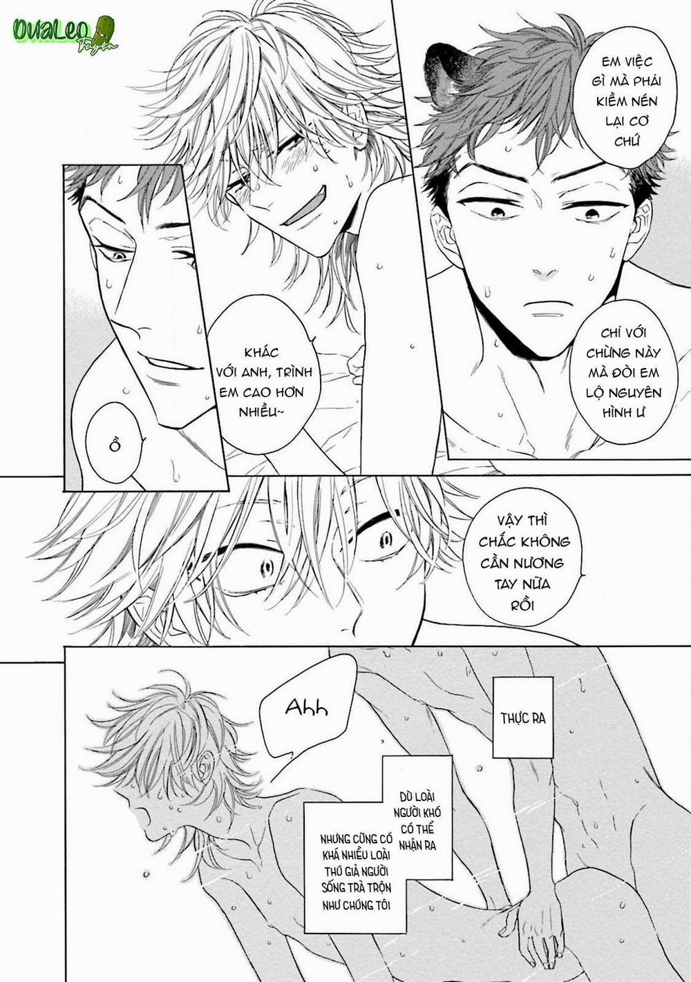 Cậu Cáo À, Đừng Quyến Rũ Tôi Nữa 6 trang 6