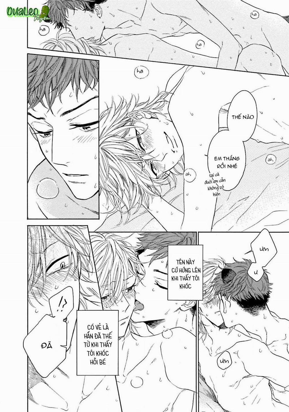 Cậu Cáo À, Đừng Quyến Rũ Tôi Nữa 6 trang 8