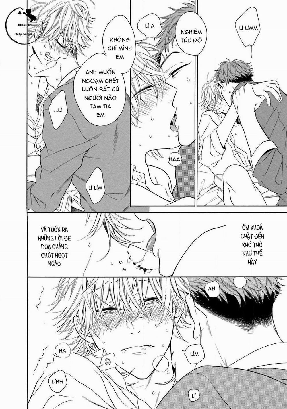 Cậu Cáo À, Đừng Quyến Rũ Tôi Nữa 8 trang 11