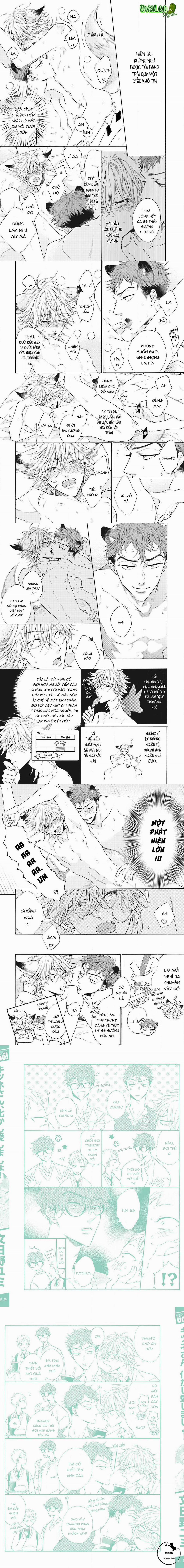 Cậu Cáo À, Đừng Quyến Rũ Tôi Nữa 9 trang 3